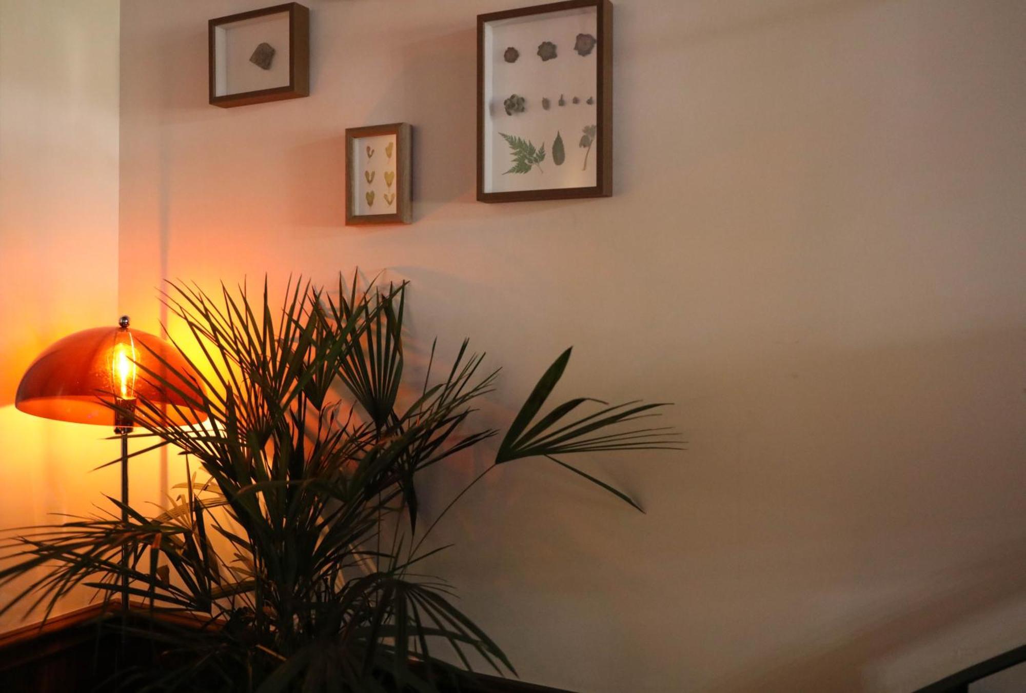 Sonderia Lazybones Hostel- Wenshu Temple Side, Chill Hostel With All-Day Brunch, Travel Agency In English & Local Bar Vibes Чэнду Экстерьер фото