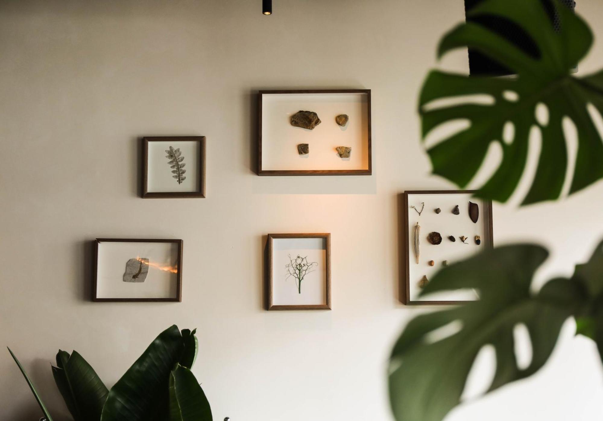 Sonderia Lazybones Hostel- Wenshu Temple Side, Chill Hostel With All-Day Brunch, Travel Agency In English & Local Bar Vibes Чэнду Экстерьер фото