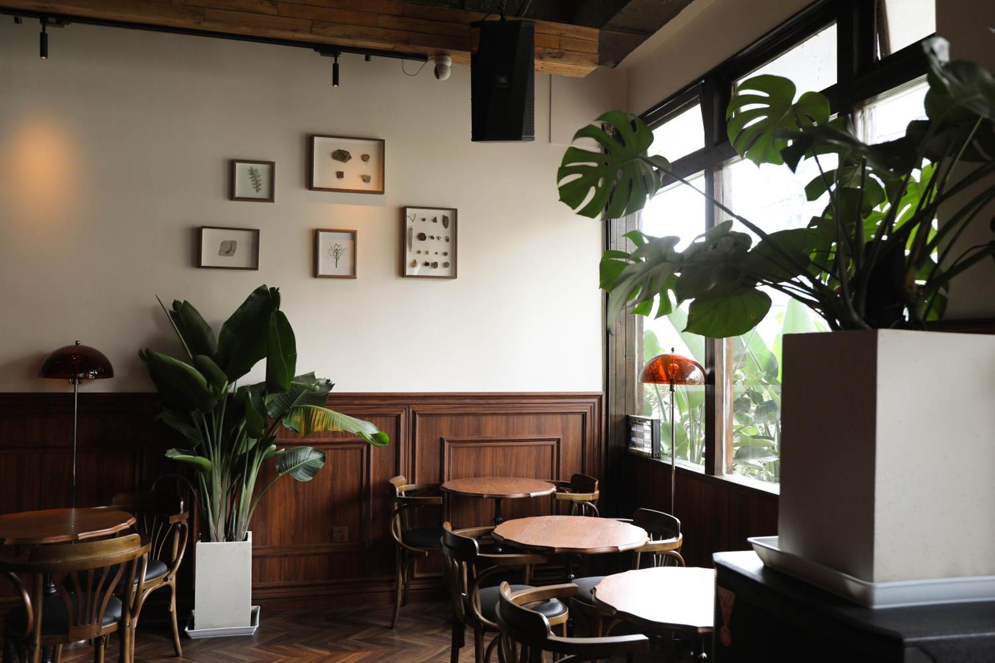 Sonderia Lazybones Hostel- Wenshu Temple Side, Chill Hostel With All-Day Brunch, Travel Agency In English & Local Bar Vibes Чэнду Экстерьер фото
